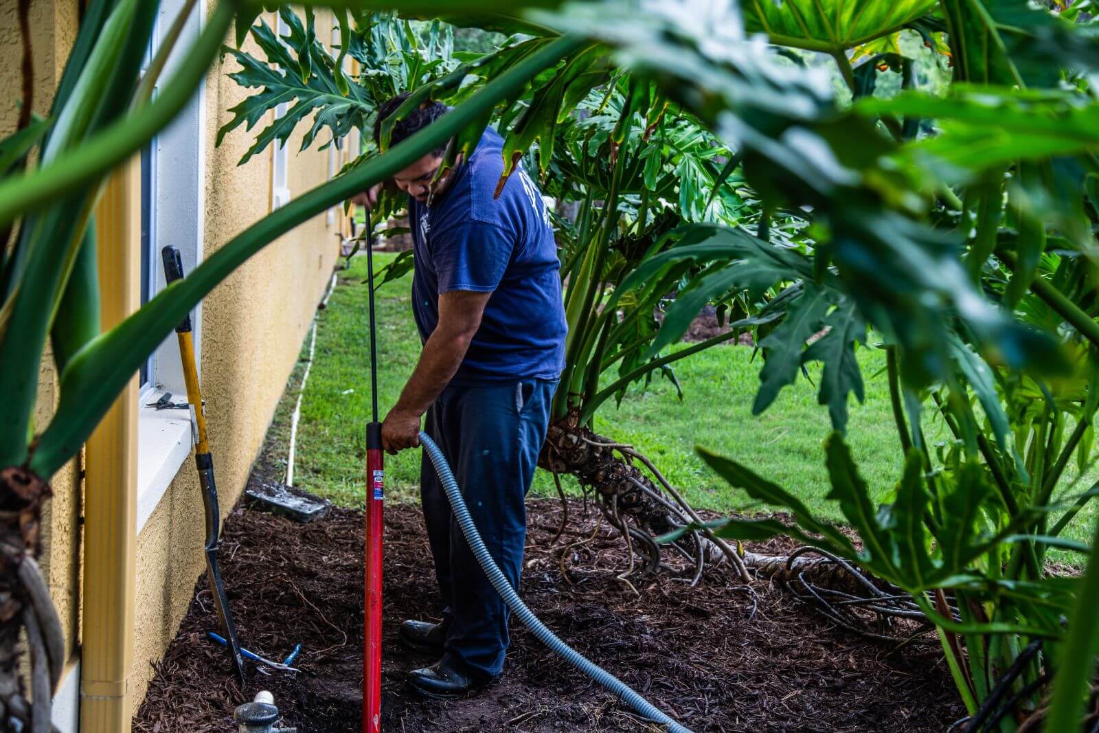 A man in a blue shirt uses a garden hose to water plants outside a yellow building. Large green leaves frame the scene.