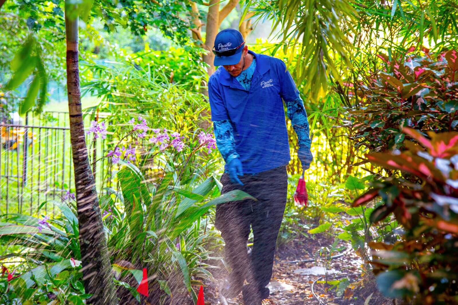 A person in a blue shirt waters plants in a lush, green garden. The individual is wearing gloves and a cap, surrounded by various plants and flowers.