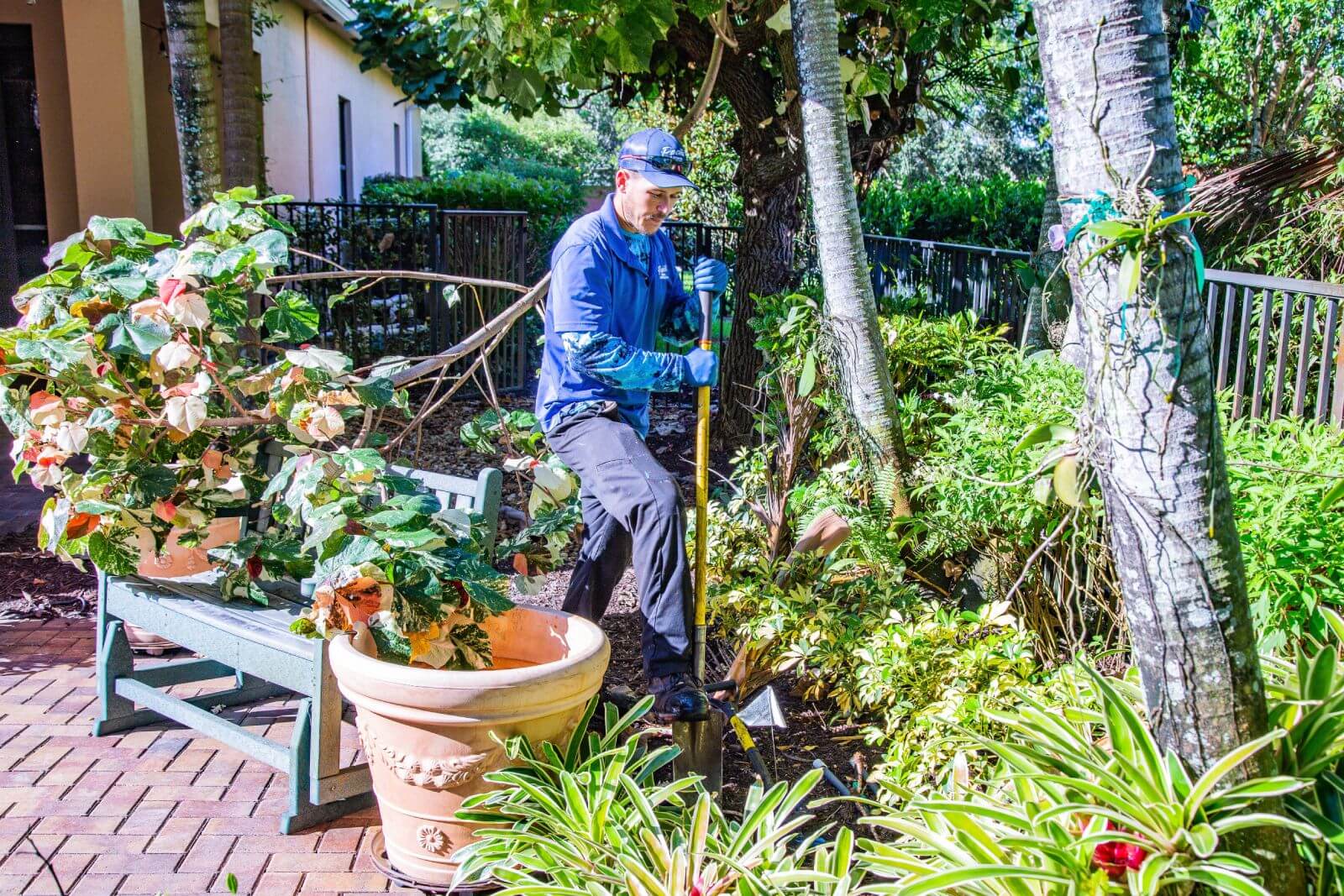 A person in a blue shirt and cap, wearing gloves, works in a garden, digging with a shovel among plants and trees next to a bench and large pots.