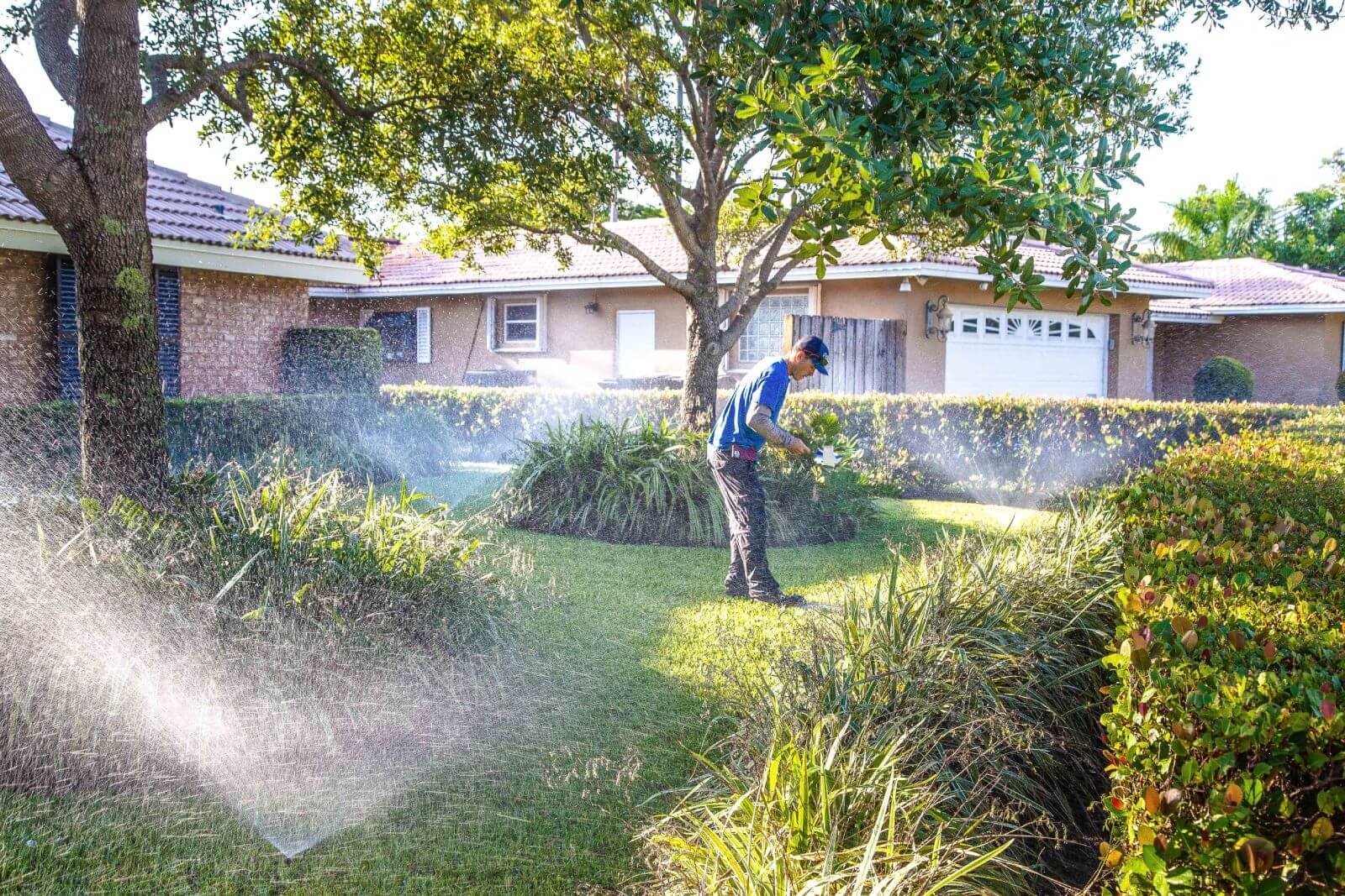 A person is watering plants and grass in a well-maintained residential garden with a hose. Green bushes and trees are visible, with houses in the background.